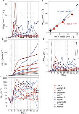 Oligotrophic Phytoplankton Community Effectively Adjusts to Artificial Upwelling Regardless of Intensity, but Differently Among Upwelling Modes